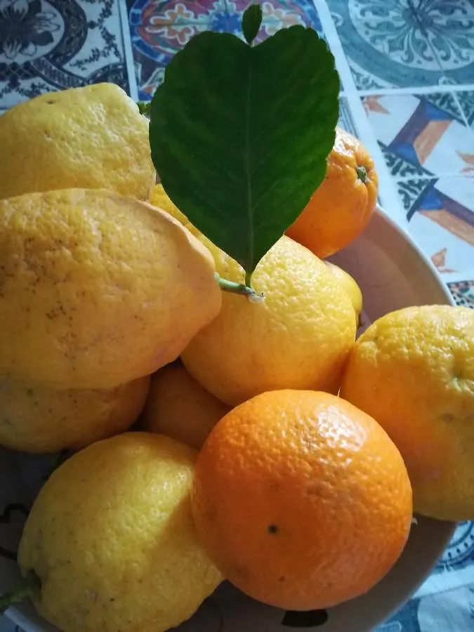 B&B La Spiaggetta Di Stazzo Acireale
